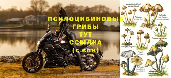 СК Абдулино