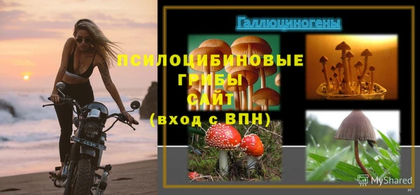 2c-b Алзамай
